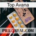 Top Avana 41